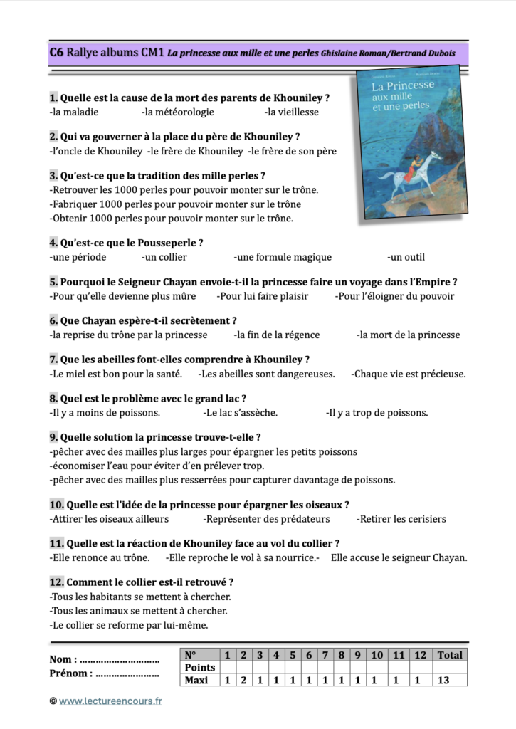 Questionnaire La princesse aux mille et une perles