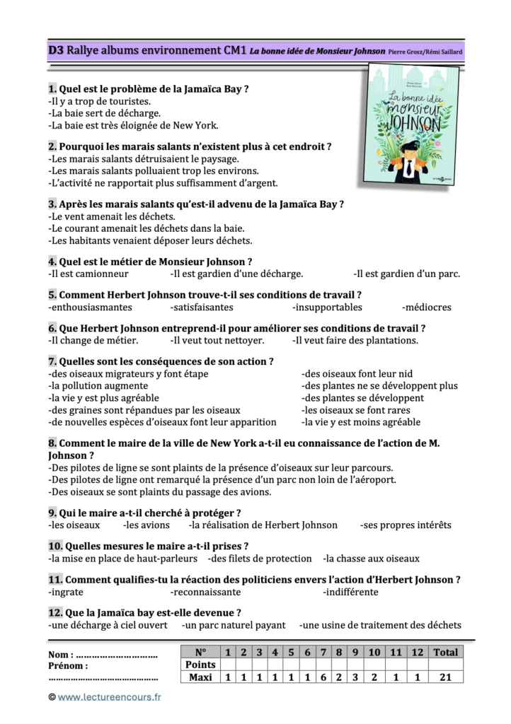 Questionnaire La bonne idée de Monsieur Johnson