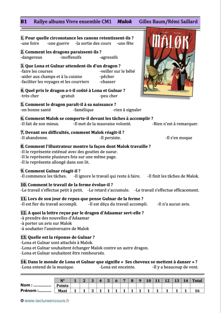 Questionnaire Malek
