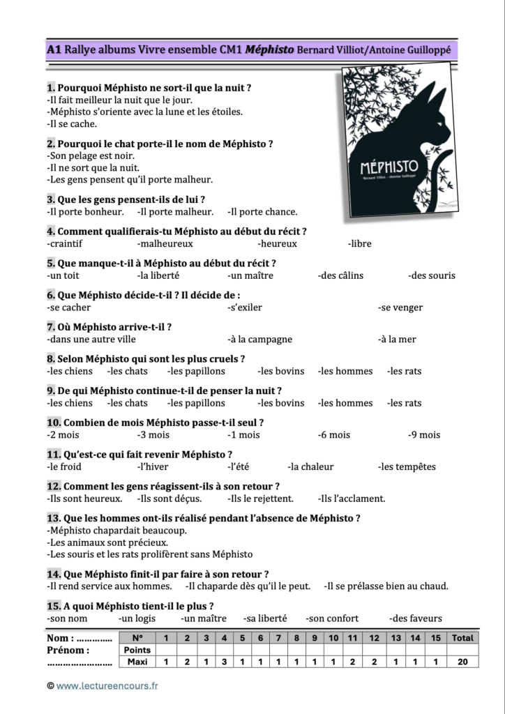 Questionnaire Méphisto