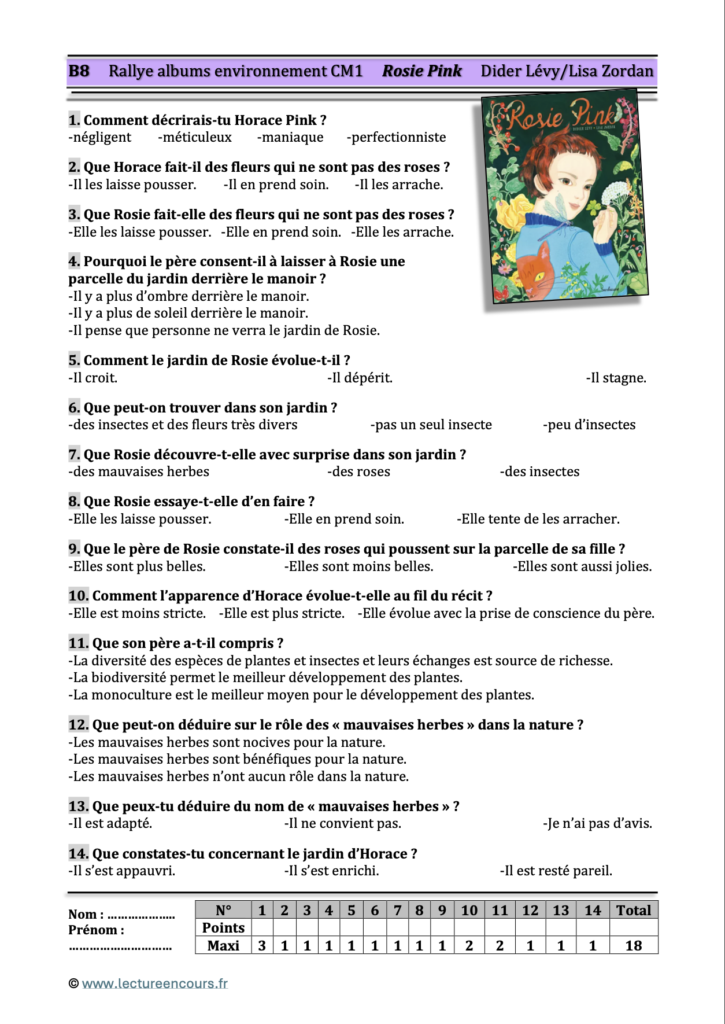 Questionnaire Rosie Pink